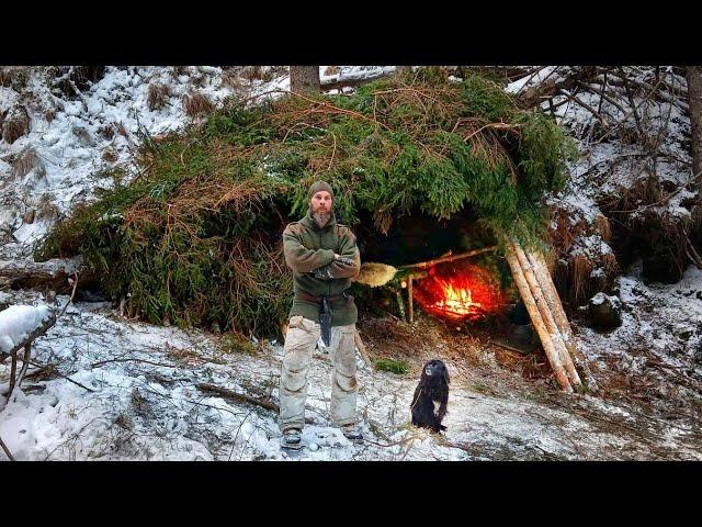 Building A Winter Survival Shelter In The Austrian Wilderness