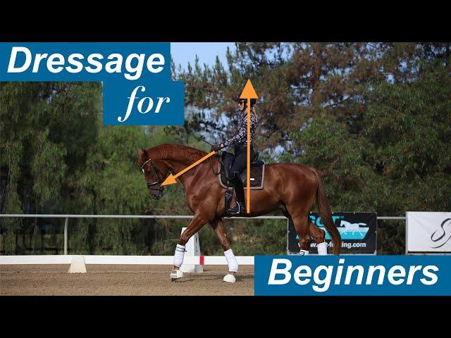 Dressage for Beginners