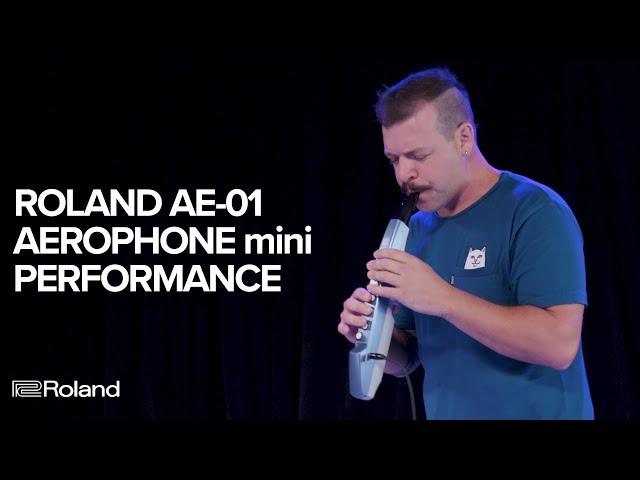 Roland AE-01 Aerophone mini: Performance and Sounds