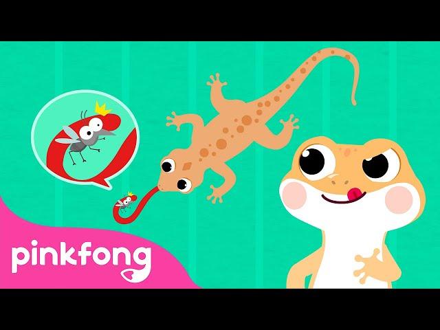 Cicak cicak di dinding | Lagu Anak Indonesia | Pinkfong Baby Shark