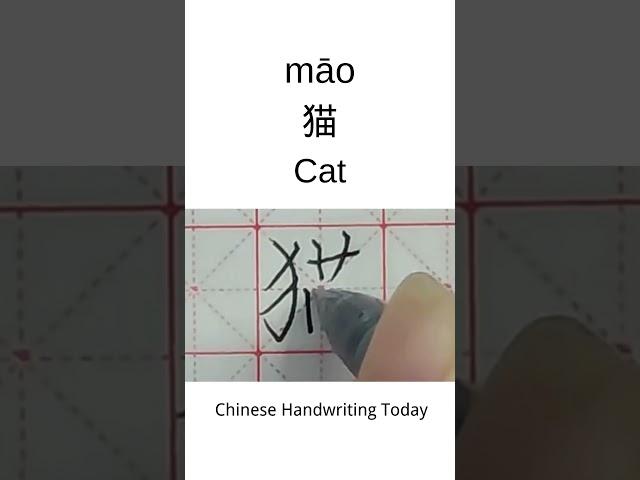 How to write Cat in Chinese character | Amazing Chinese Calligraphy | Satisfying Handwriting