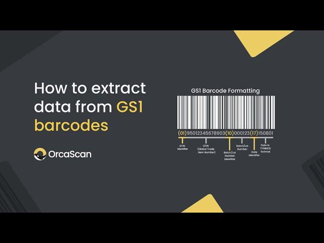 How to extract data from GS1 barcodes with Orca Scan