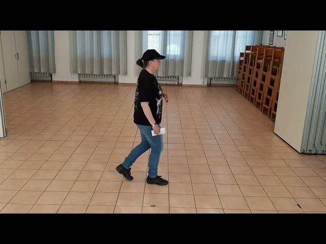 The Gambler Lernvideo Teach & Dance Line Dance Biene Teil 1