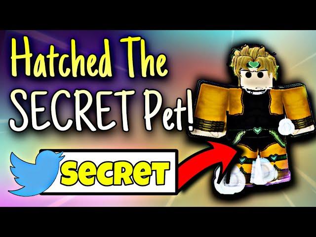 Anime Clicker Simulator  I HATCHED the SECRET PET finally! It is OP! crazy good stats on clicks!