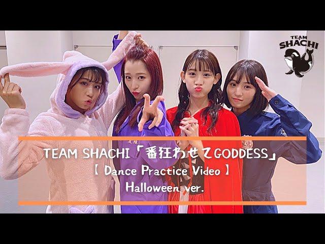 TEAM SHACHI「番狂わせてGODDESS」   (Halloween ver.)【Dance Practice Video】【4K】