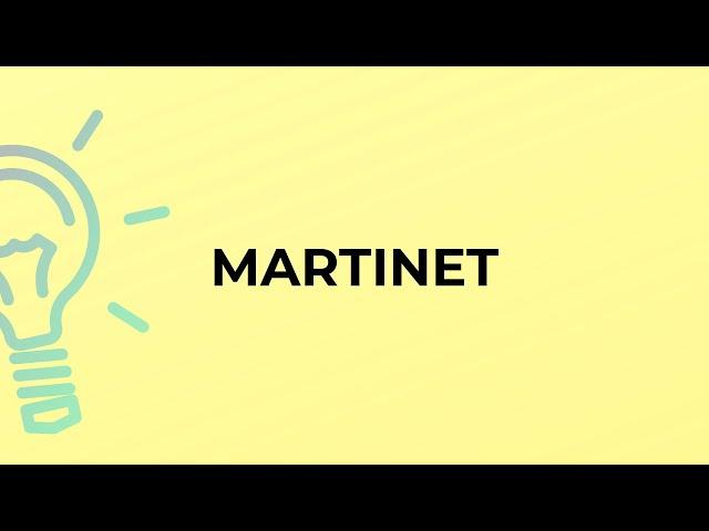 What is the meaning of the word MARTINET?