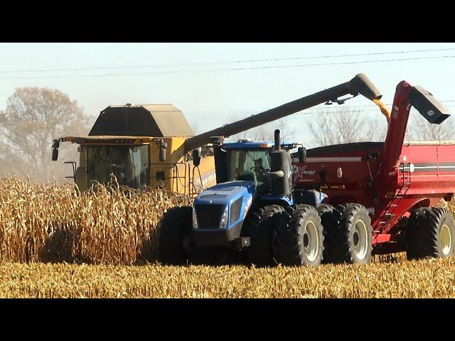 Corn Harvest 2023 | New Holland CR 7.90 Combine Harvesting Corn | Ontario, Canada