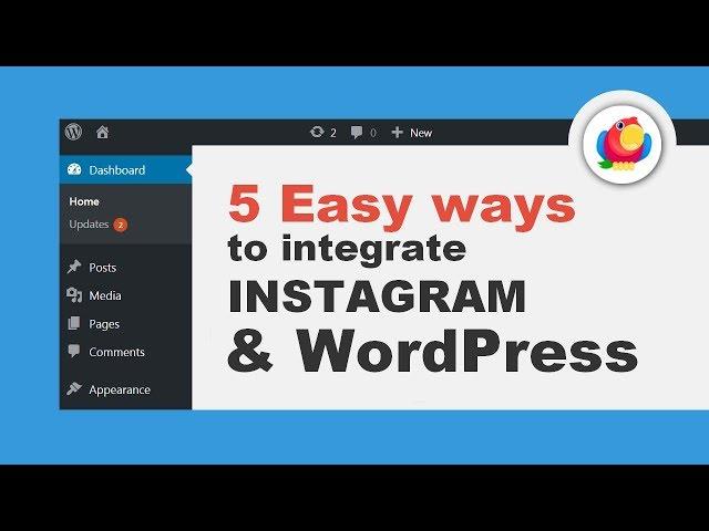 5 Easy Ways To Integrate Instagram With WordPress