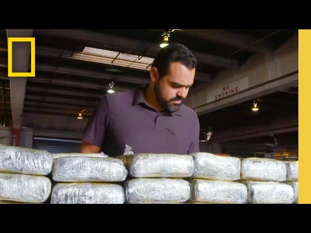  LIVE: Drugs in the City | To Catch a Smuggler | S4 FULL EPISODES