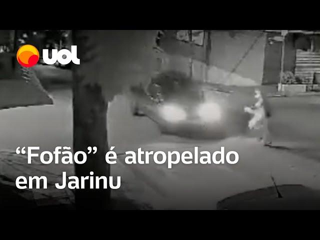 'Fofão' de trenzinho de personagens é atropelado em Jarinu (SP); veja vídeo