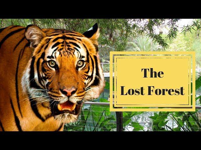 The Lost Forest at the San Diego Zoo