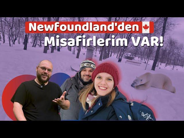 KANADA'da Küçük Şehirde Yaşamak! │St.John's - Newfoundland