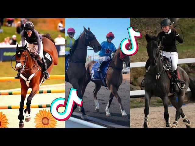 The Best HORSE TikTok Compilation #125