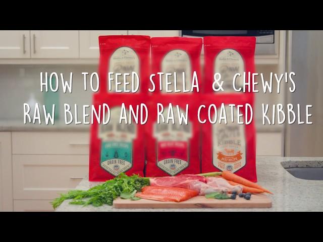 How to Feed Stella & Chewy's Raw Blend and Raw Coated Kibble Dog Food