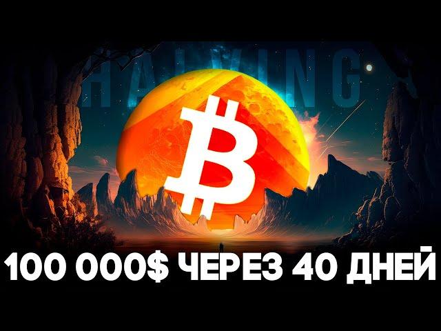 Bitcoin Halving Main Event 2024! Cryptocurrency Starts New Era! Bitcoin Forecast