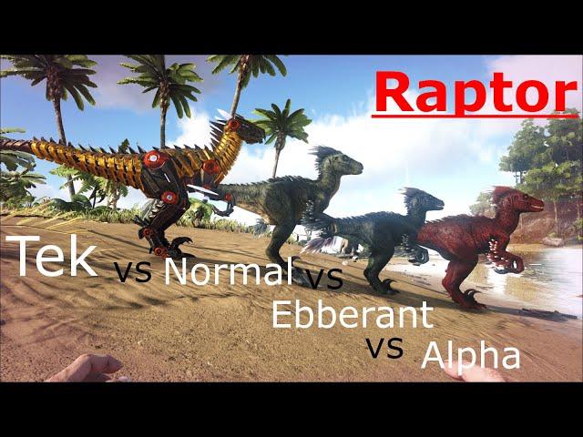 Tek vs Abberant vs Alpha vs Normal Raptor fight! | Ark