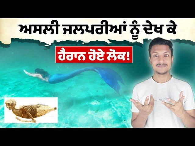 ਜਲਪਰੀਆਂ ਦਾ ਰਹੱਸ Mystery Of Mermaids Revealed | Punjab Talkz