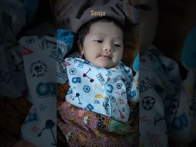 bikin gemes #baby #lucunya #bayilucu#baby #bayiimut #lucu#gemesin