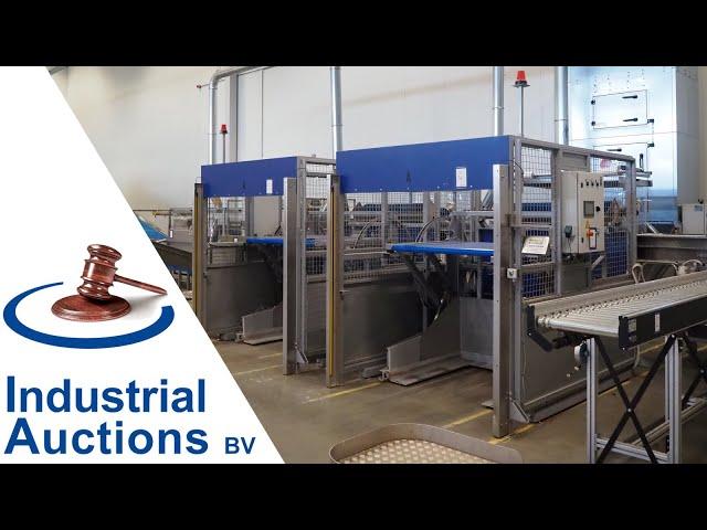 Online auction potato weighing and sorting line