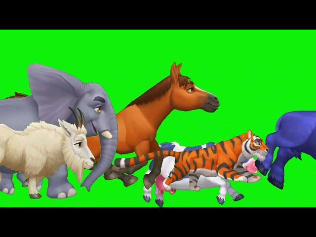 Animal Stampede green screen | Funny Animals  green Screen |All cartoon animal running green screen