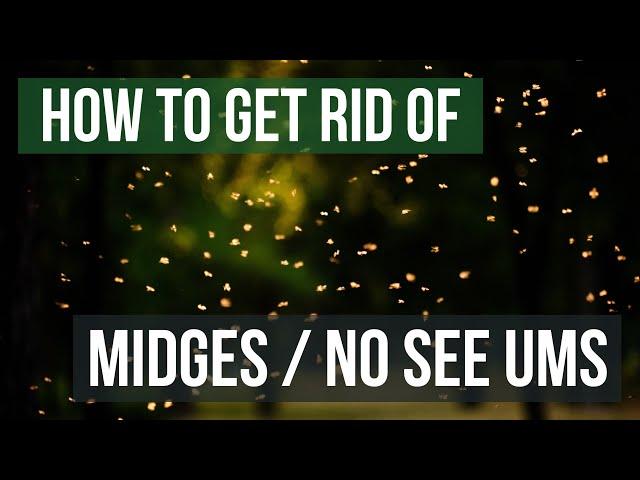 How to Get Rid of Midges (Biting Midges/No See Ums)