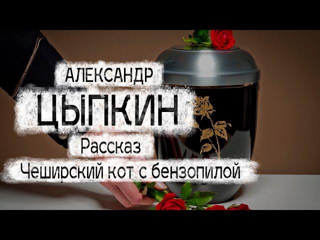 Рассказ Александра Цыпкина "Чеширский кот" Читает Андрей Лукашенко