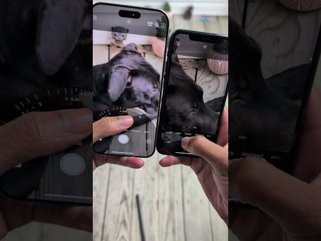 iPhone 11 Pro VS IPHONE 16 Pro Max Camera Zoom Test