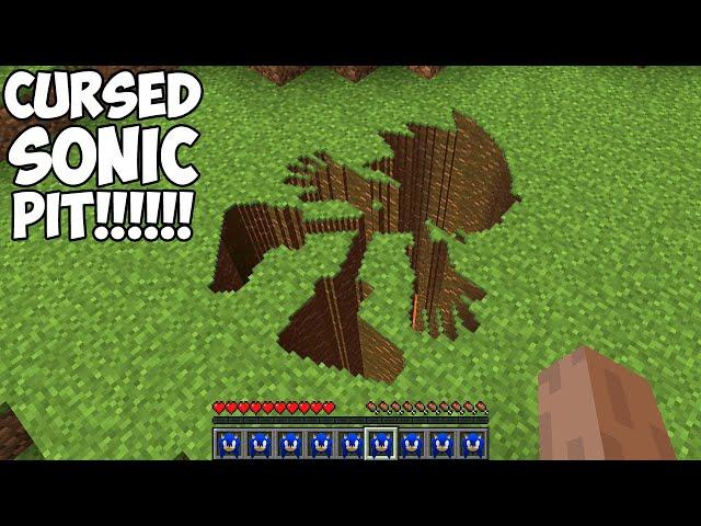 Where DOES THIS CURSED SONIC PIT in Minecraft ? SECRET SONIC TUNNEL !