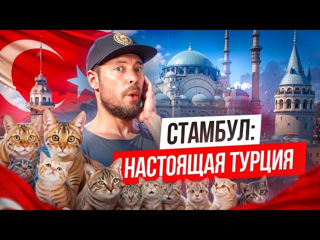 СТАМБУЛ - главный город Турции | Безумные цены, толпы туристов и впечатления на всю жизнь