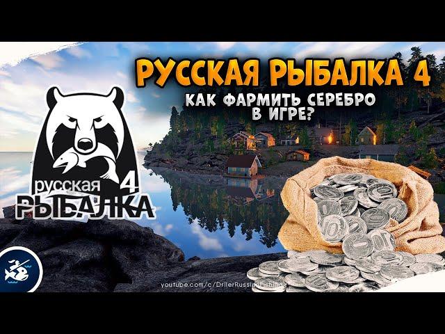 HOW TO PHARM THE BEGINNER ● RUSSIAN FISHING 4 ● GUIDE