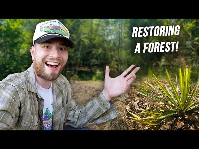 Creating A New Wildlife Garden With Native Plants | Restoring a Forest!