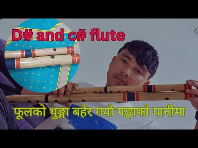 phoolko thunga bahera gayo gangako panima taradevi song cover flute kismat roka magar flute 2024