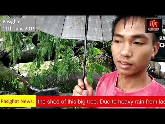 Pasighat News:- In a major incident of big tree