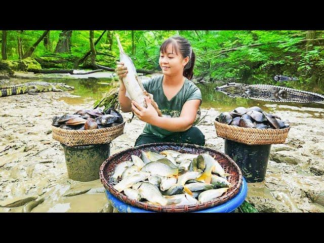 Harvesting A Lot Of Fish At Mud Pond Goes to market sell - Cooking fish | Tiểu Vân Daily Life