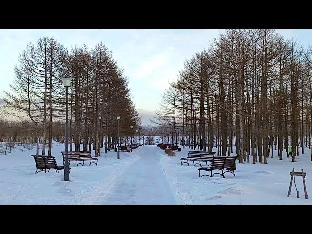 Магнитогорск, заснеженный парк у Вечного огня, замёрзшая река Урал (02.01.2024)