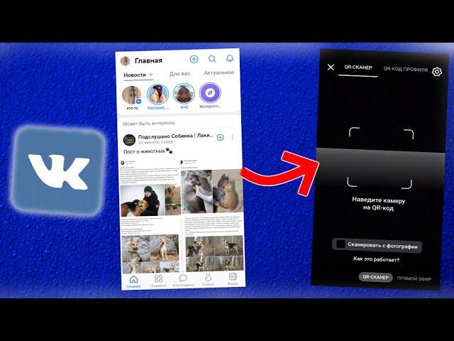 Как открыть Qr-код в вк на телефоне?