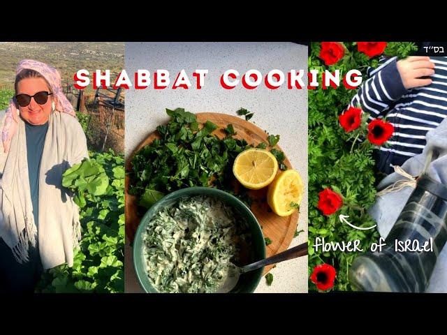 SHABBAT PREP Cooking. Israel's Wild plants Chubeza & Kalanit Blooming in warchowder brisket recipes