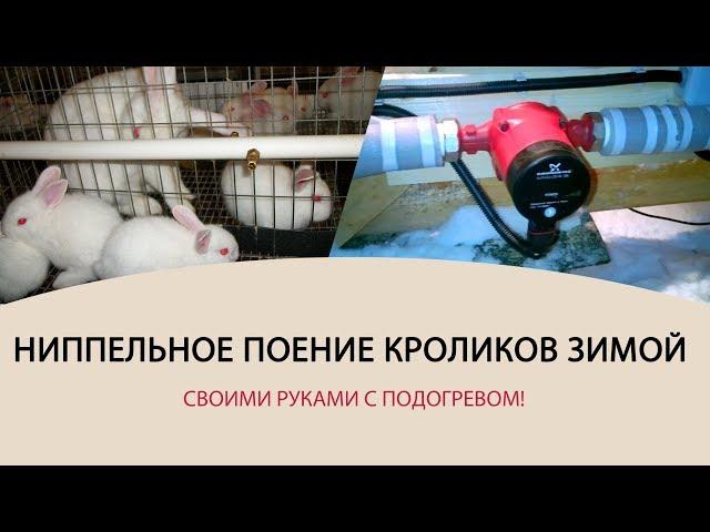 НИППЕЛЬНОЕ ПОЕНИЕ КРОЛИКОВ ЗИМОЙ \\ Своими руками с подогревом!  \\ DIY Rabbit  #1