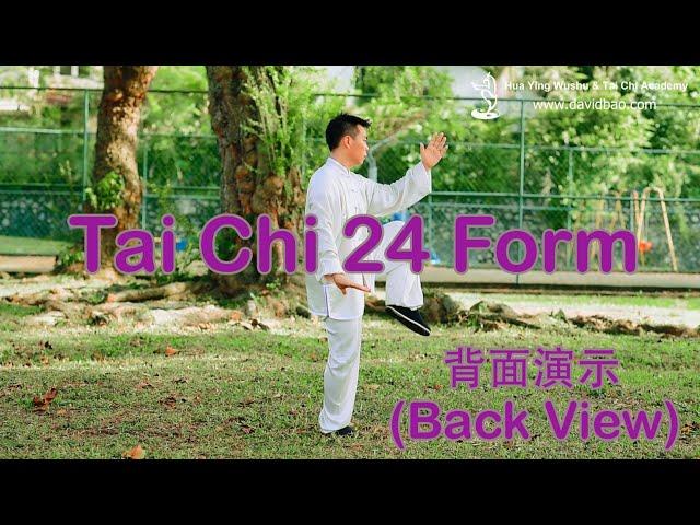 Tai Chi 24 Form (Back View) 简化24式太极拳  (背面) : Beginner Tai Chi Form