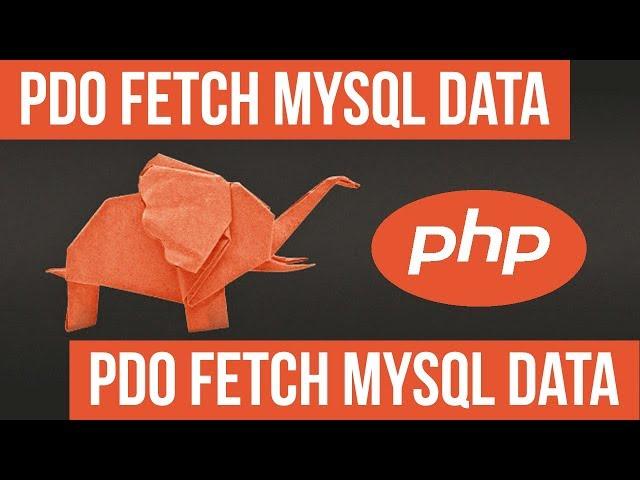 How to Fetch MySQL Data using PDO - Become a PHP Master - 32