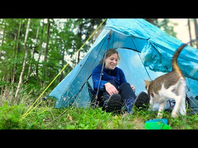 Hiking & wild camping with my cat | Simonswald, July 2022