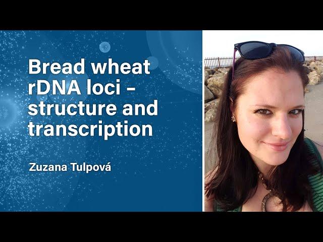 Bread Wheat rDNA Loci – Structure and Transcription | The Plant Genome Webinar