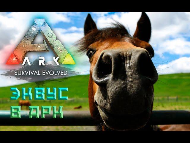 Эквус | Конь | Особенности, приручение | ARK Survival Evolved