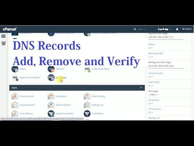 How to add and verify DNS records | How to update DNS records in CPanel | #DNS Records in #cPanel