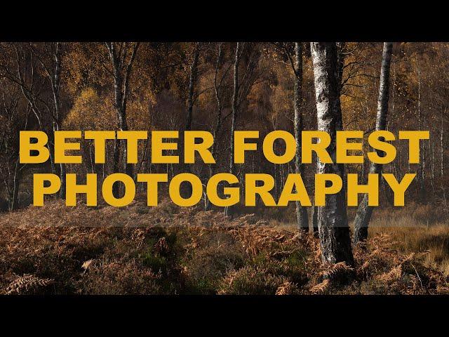 5 TIPS for better FOREST photography