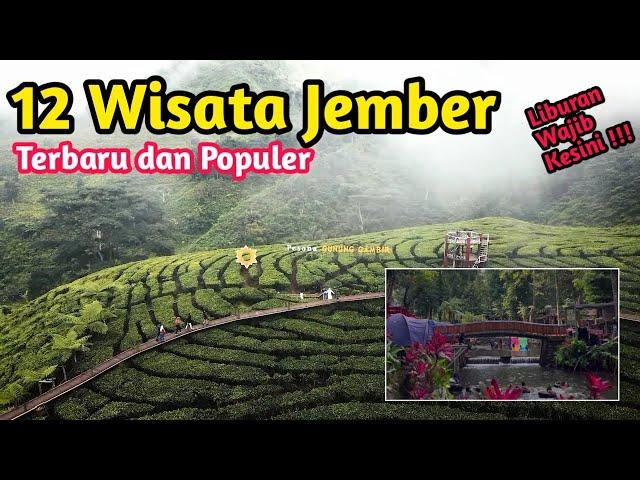 12 Tempat WISATA JEMBER Terbaru 2024, Rekomendasi Liburan Keluarga Tercinta, Wisata Jember Viral