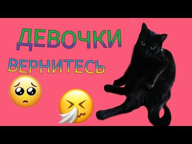 КОШКА ЖДУН // ДЕВОЧКИ ВЕРНИТЕСЬ // Uni Ксю