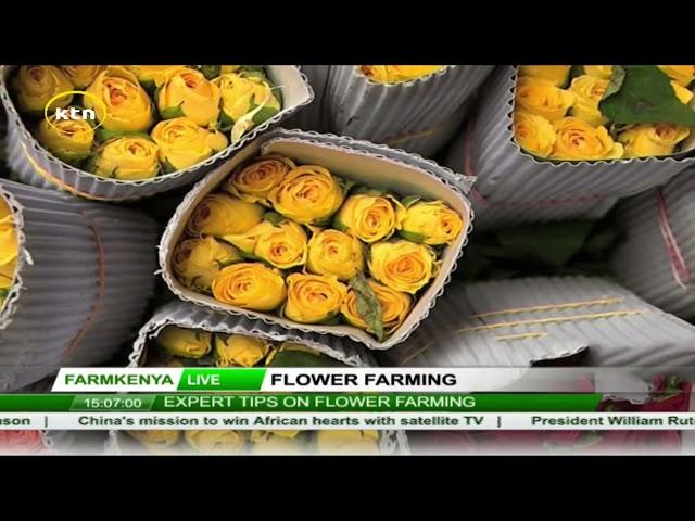 Floriculture do's and don'ts: Expert tips on flower farming