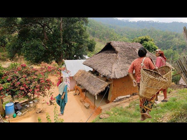 Peace Beautiful Eastern Hilly Village | Nepali Village Life | BijayaLimbu