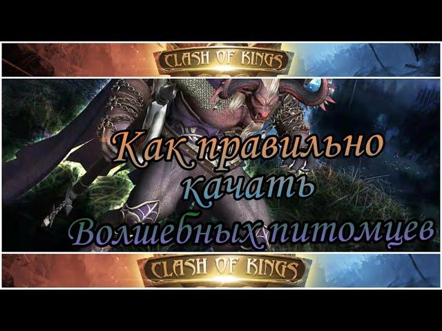 Clash of Kings узнай как быстро поднять проценты за счет питомцев! Обзор нового героя Афина.